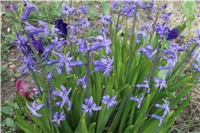 9b8cf237-Picture 016.jpg